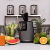 Máy ép trái cây chậm Uniblend E250