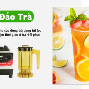 Máy đảo trà Blender 816